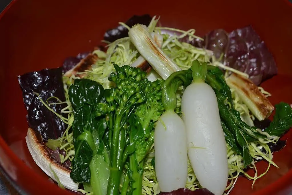 *** 旅館 ホテル 養生館 はるのひかり 箱根町 日本