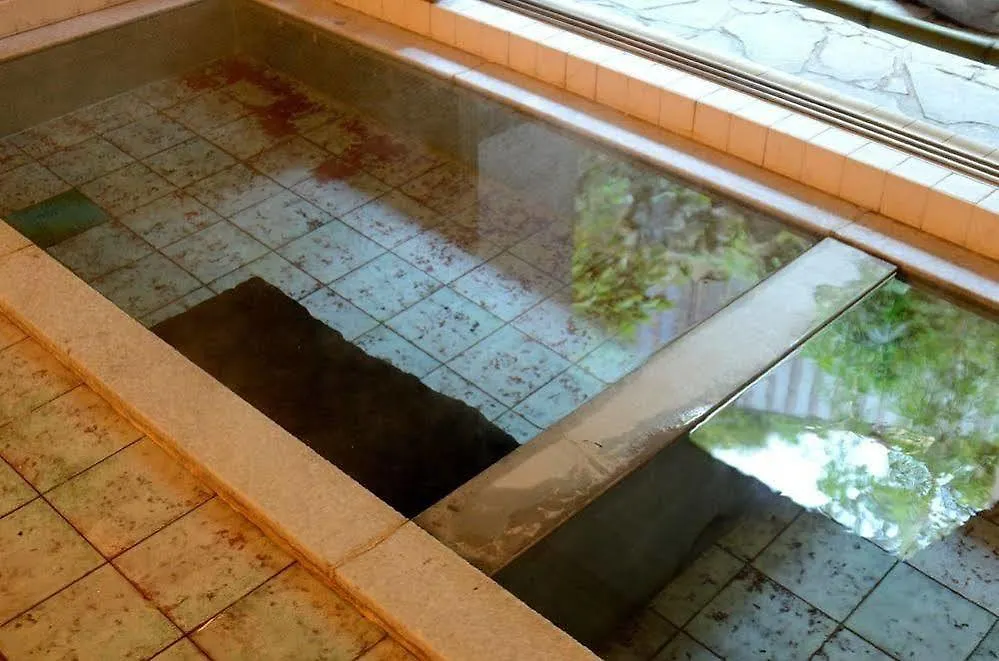 ホテル 養生館 はるのひかり 箱根町 旅館